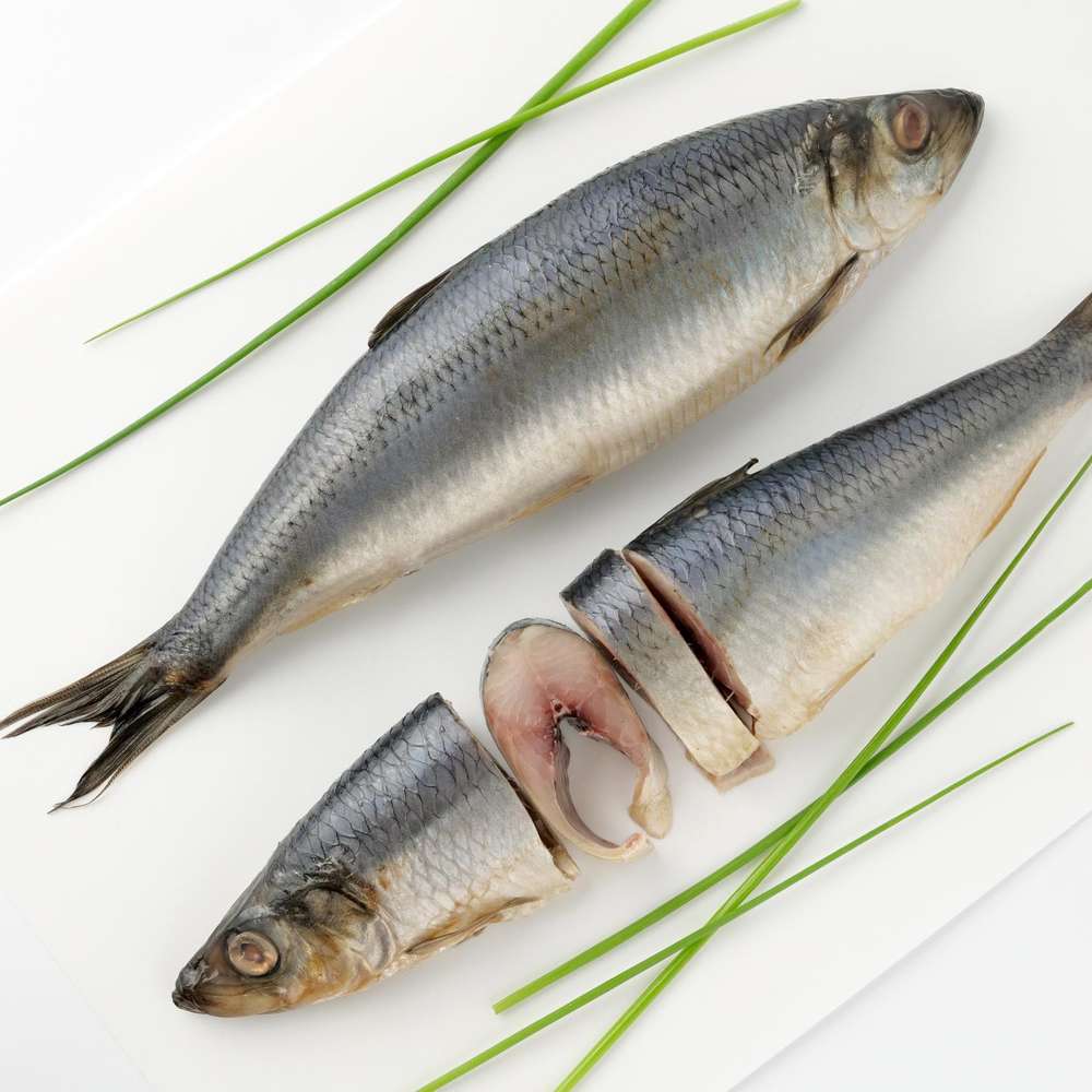 Hering în saramură 1,3KG